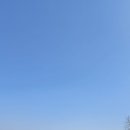 송림제 Daum카페
