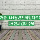 당감청년
