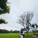 태안비치컨트리클럽 | 태안 스톤비치CC 첫 골프 라운딩 여행 2일차 후기