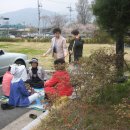 소쇄원(주차장) Daum카페