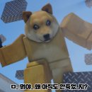 댕댕이 컷 이미지