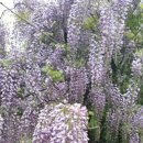 삼광가든 이미지