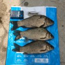 행복 낚시터 이미지