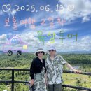 은행정농장 | 5박7일 보홀여행 #6 | 2일차 : 컨트리사이드 육상투어 ➡️ 로컬페이지 이용 (+ 보홀 모든 투어 총 경비...