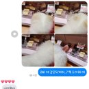 가정 펫 살롱 | [부산/수영구] 부산 애견동반 &#39;펫스테이션&#39; 반려동물복합문화거리 강아지 고양이