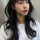 리즈동물병원 | 머리 풀고 인생 리즈 갱신각 잡았다! 아스트룸헤어 첫방문 썰 푼다