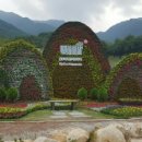 영남알프스 복합웰컴센터 이미지