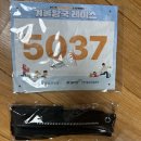 보물왕국 | 2025 겨울왕국 레이스 참가후기 겨울왕국 레이스 보물찾기 겨울왕국레이스 복장