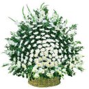 무주읍169 이미지