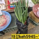 말바우농산 - 북구 서방로73번길 39 | 말바우농산