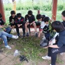 성안중학교 이미지