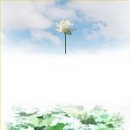 수원 64 수원일보