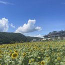 곤실길 스테이 이미지