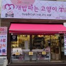 개밥파는고양이김포
