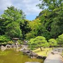 일본 도쿄 정원답사 2024 (7) - (2024.6.7) 구 후루카와정원(旧古河庭園) 이미지