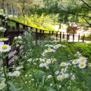 늘솔길공원양떼목장 이미지