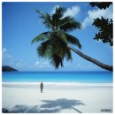 바다가 있는 풍경 이미지