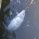 한터낚시터 이미지