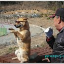 진도목장 이미지