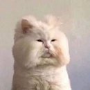 종로-신영-종로-영-004 | 할로윈과 크리스마스 연말 준비