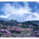 산천초목 네이버블로그
