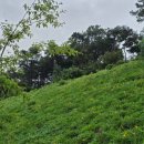 대율저수지 오토캠핑장 이미지