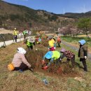 상동체육공원 이미지