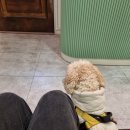 부평문화점 | 부평타로 [비결원] 부평문화의거리 타로 후기 조용하고 편했던 방문 이야기