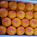 부일농장 이미지