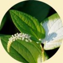 바이오랩 주식회사 이미지