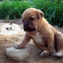 기계주단 이미지