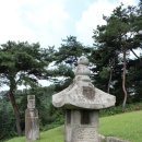 청송심씨안효공파종회 | [경기 수원]안효공 심온 묘(세종국구)