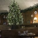 리베볼(liebevoll) | 🎄대구 크리스마스 카페 도장 깨기🎄 동화 속 세상, 대구 크리스마스 명소 “리베볼” 크리스마스 시즌 후기