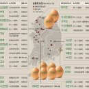 우리계란