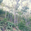 부덕농장 이미지