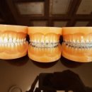 분당-216 이미지