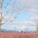 낙동강체육공원 제3주차장 이미지