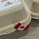 석촌주유소 | 🍔 석촌 맛집 메이플버거 비슈버거 포장 후기ㅣ드라이브스루 추천