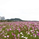 문산천 이미지
