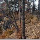 조운농장 이미지