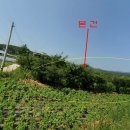 여주-0828 이미지