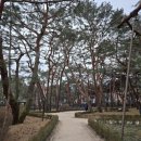 서울특별시교육청도봉도서관(종합자료실) | 도봉구 쌍문동 서울특별시교육청 도봉도서관 (2026.2.10)