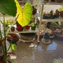 새미게스트하우스 이미지