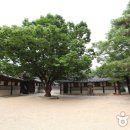 유구 종합오토바이 | [서울][나홀로 추천 코스] 동대문 주변에서 만나는 역사의 현장
