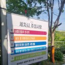 × 포항 자명 저렴한 노터치 세차장 &#39;노터치!&#39; 내돈내산 세차 후기
