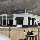 그라운독 | 남양주 애견카페 그라운독 대형 애견운동장 구비