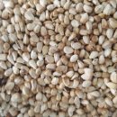 참살이건강원 이미지