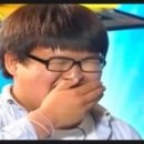 레드팬더 이미지