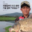 곡성-244 이미지