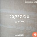 좌수영약국 이미지